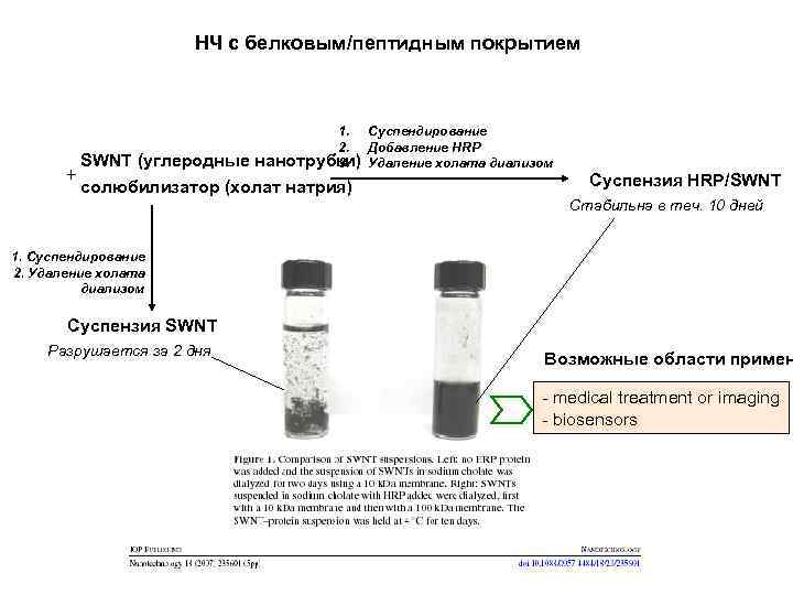 НЧ с белковым/пептидным покрытием 1. Суспендирование 2. Добавление HRP нанотрубки) Удаление холата диализом 3.