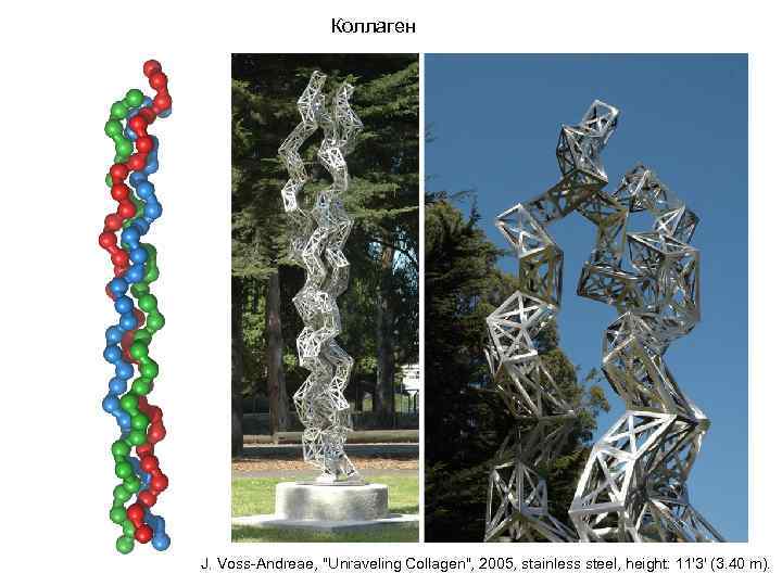 Коллаген J. Voss-Andreae, "Unraveling Collagen", 2005, stainless steel, height: 11'3' (3. 40 m). 