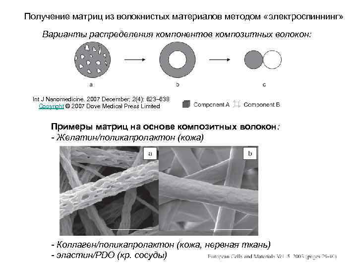 Получение матриц из волокнистых материалов методом «электроспиннинг» Варианты распределения компонентов композитных волокон: Int J