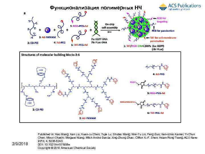 Функционализация полимерных НЧ 2/9/2018 Published in: Hao Wang; Kan Liu; Kuan-Ju Chen; Yujie Lu;