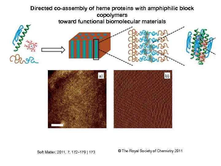 Directed co-assembly of heme proteins with amphiphilic block copolymers toward functional biomolecular materials Soft