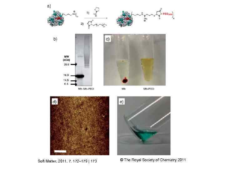 Soft Matter, 2011, 7, 172– 179 | 173 © The Royal Society of Chemistry