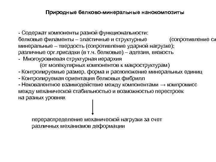 Природные белково-минеральные нанокомпозиты - Содержат компоненты разной функциональности: белковые филаменты – эластичные и структурные