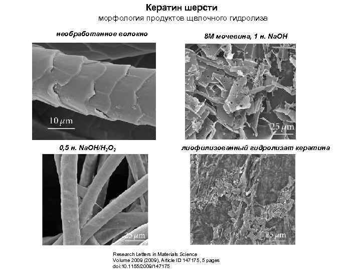 Кератин шерсти морфология продуктов щелочного гидролиза необработанное волокно 0, 5 н. Na. OH/H 2
