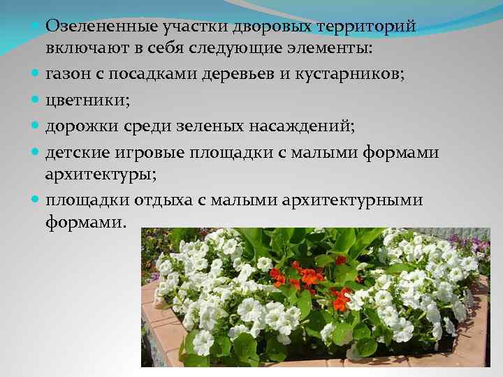  Озелененные участки дворовых территорий включают в себя следующие элементы: газон с посадками деревьев