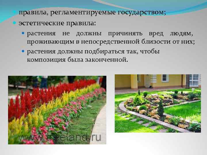  правила, регламентируемые государством; эстетические правила: растения не должны причинять вред людям, проживающим в