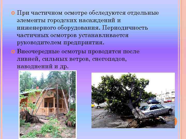 При частичном осмотре обследуются отдельные элементы городских насаждений и инженерного оборудования. Периодичность частичных осмотров
