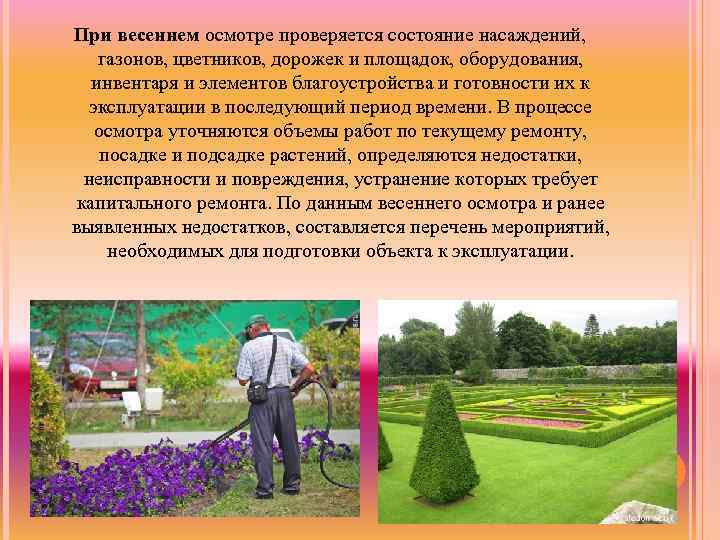 При весеннем осмотре проверяется состояние насаждений, газонов, цветников, дорожек и площадок, оборудования, инвентаря и