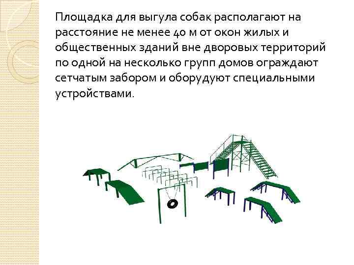 Площадка для выгула собак располагают на расстояние не менее 40 м от окон жилых