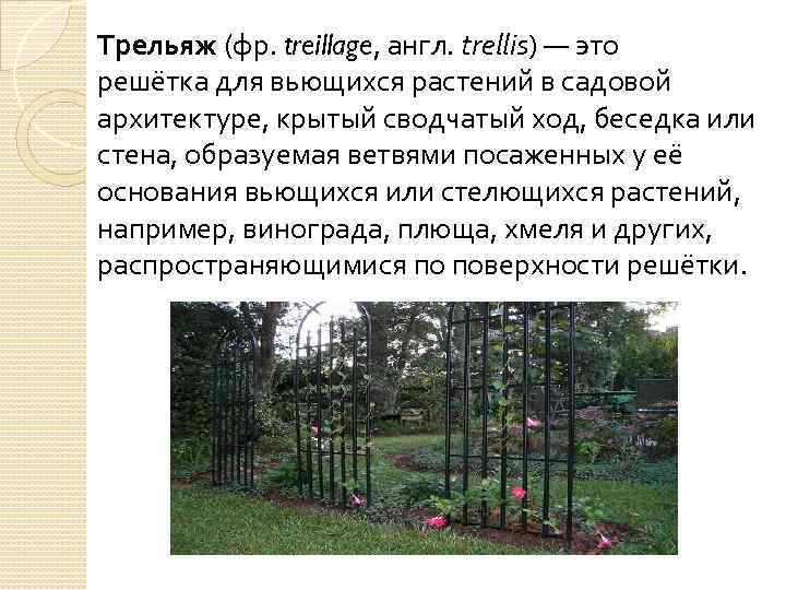 Трельяж (фр. treillage, англ. trellis) — это решётка для вьющихся растений в садовой архитектуре,