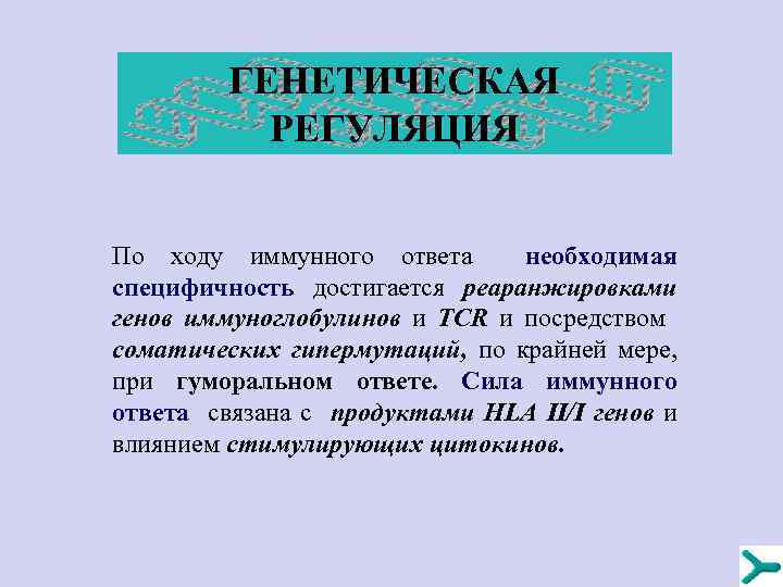 ГЕНЕТИЧЕСКАЯ РЕГУЛЯЦИЯ По ходу иммунного ответа необходимая специфичность достигается реаранжировками генов иммуноглобулинов и TCR