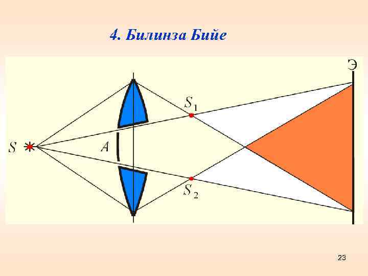 4. Билинза Бийе 23 