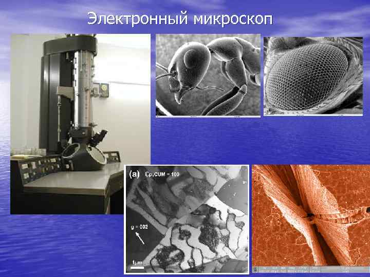 Электронный микроскоп 