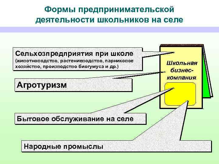 Формы предпринимательской деятельности школьников на селе Сельхозпредприятия при школе (животноводство, растениеводство, парниковое хозяйство, производство