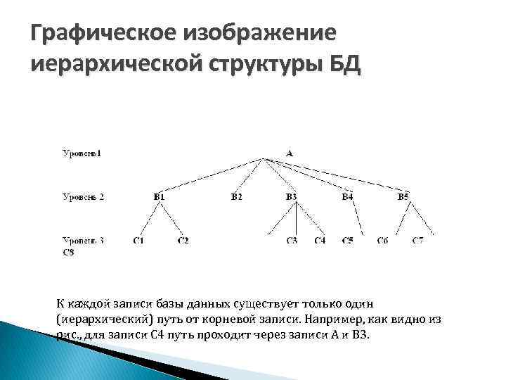 Иерархическая модель данных основные понятия графическое изображение примеры