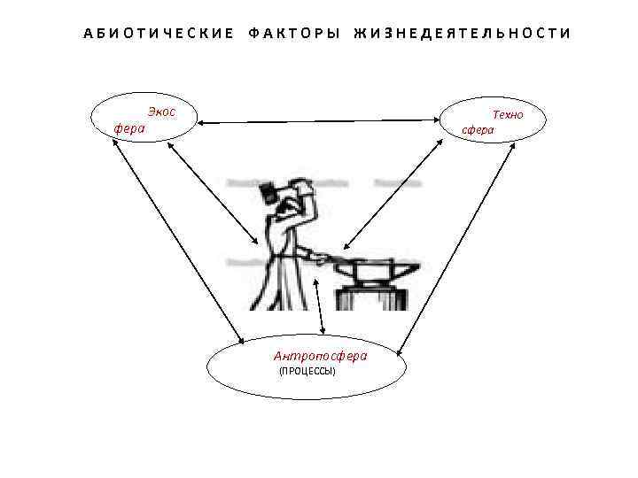 АБИОТИЧЕСКИЕ ФАКТОРЫ ЖИЗНЕДЕЯТЕЛЬНОСТИ фера Экос Техно сфера Антропосфера (ПРОЦЕССЫ) 