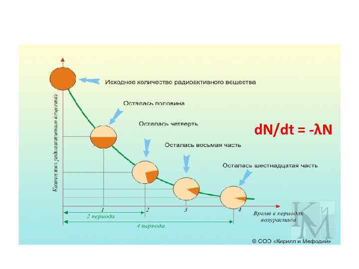 d. N/dt = -λN 