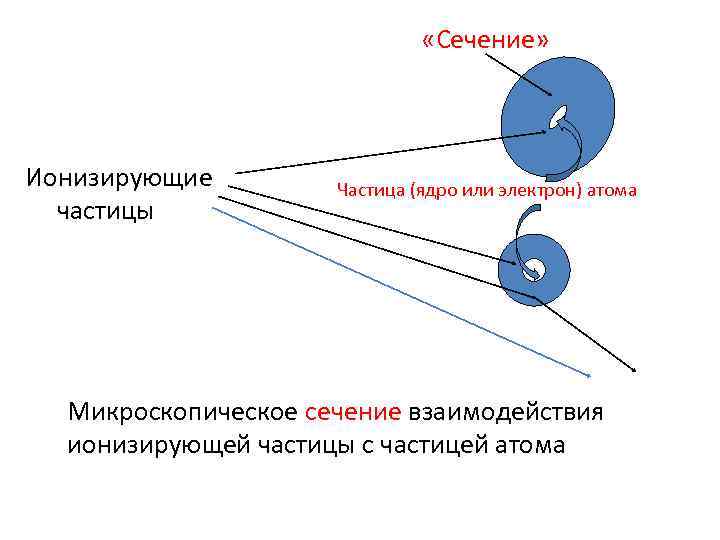  «Сечение» Ионизирующие частицы Частица (ядро или электрон) атома Микроскопическое сечение взаимодействия ионизирующей частицы