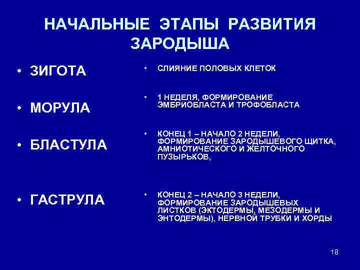 НАЧАЛЬНЫЕ ЭТАПЫ РАЗВИТИЯ ЗАРОДЫША • ЗИГОТА • МОРУЛА • БЛАСТУЛА • ГАСТРУЛА • СЛИЯНИЕ