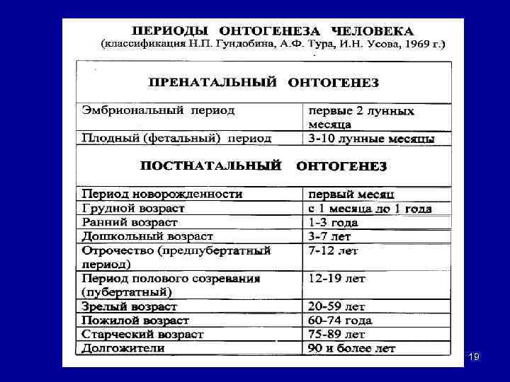 Классификация периода