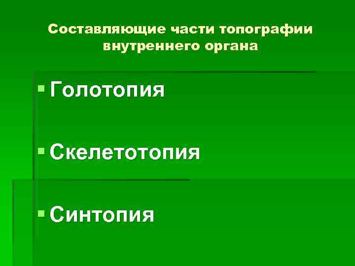 Составляющие части топографии внутреннего органа § Голотопия § Скелетотопия § Синтопия 