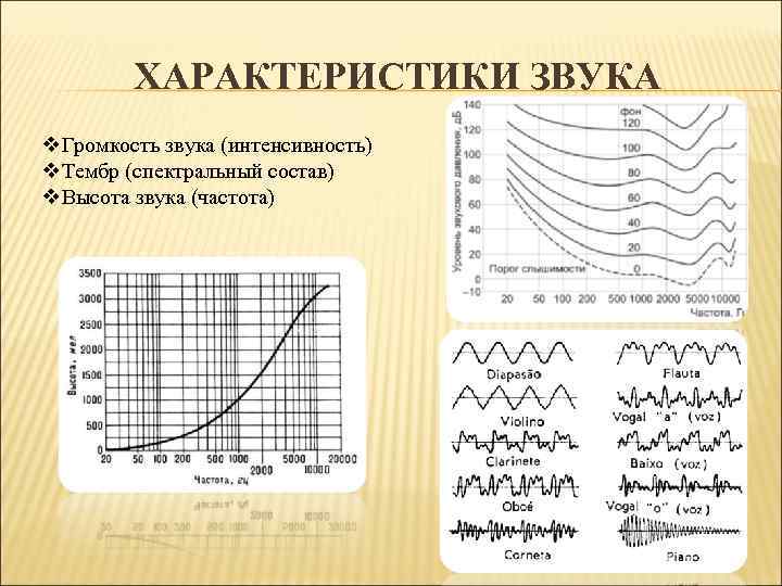 ХАРАКТЕРИСТИКИ ЗВУКА v. Громкость звука (интенсивность) v. Тембр (спектральный состав) v. Высота звука (частота)