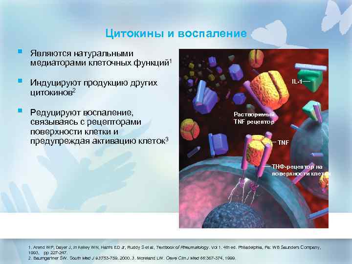 Цитокины и воспаление § Являются натуральными медиаторами клеточных функций 1 § Индуцируют продукцию других