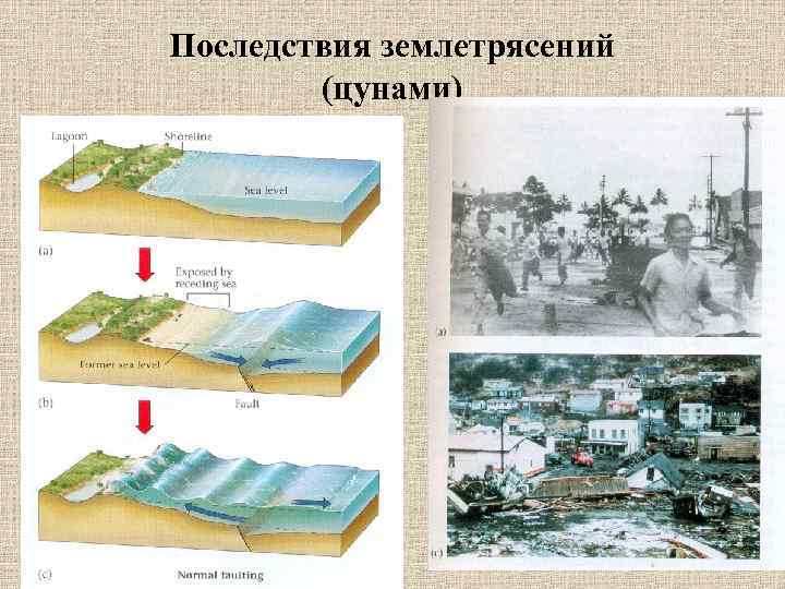 Последствия землетрясений (цунами) 