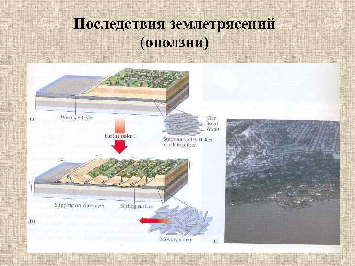 Последствия землетрясений (оползни) 