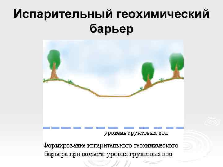 Испарительный геохимический барьер 