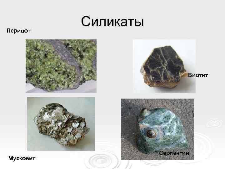 Перидот Силикаты Биотит Мусковит Серпентин 