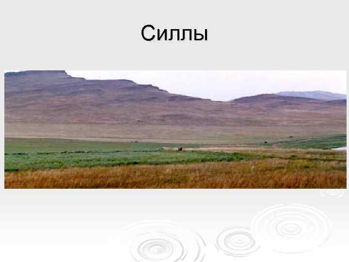 Силлы 