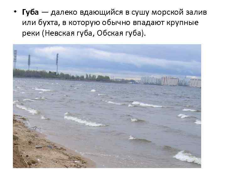  • Губа — далеко вдающийся в сушу морской залив или бухта, в которую