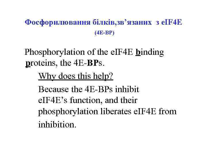 Фосфорилювання білків, зв’язаних з e. IF 4 E (4 E-BP) Phosphorylation of the e.
