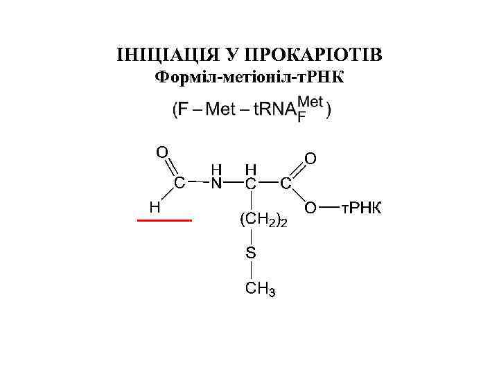 ІНІЦІАЦІЯ У ПРОКАРІОТІВ Форміл-метіоніл-т. РНК 