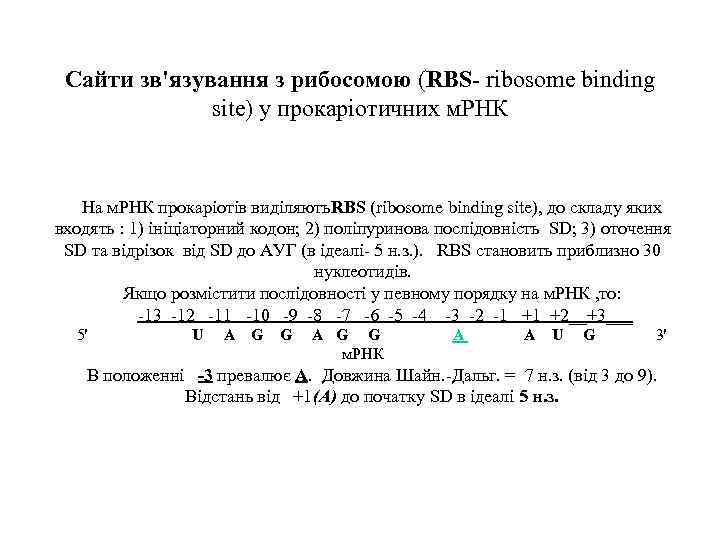 Сайти зв'язування з рибосомою (RBS- ribosome binding site) у прокаріотичних м. РНК На м.