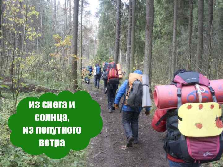 из снега и солнца, из попутного ветра 