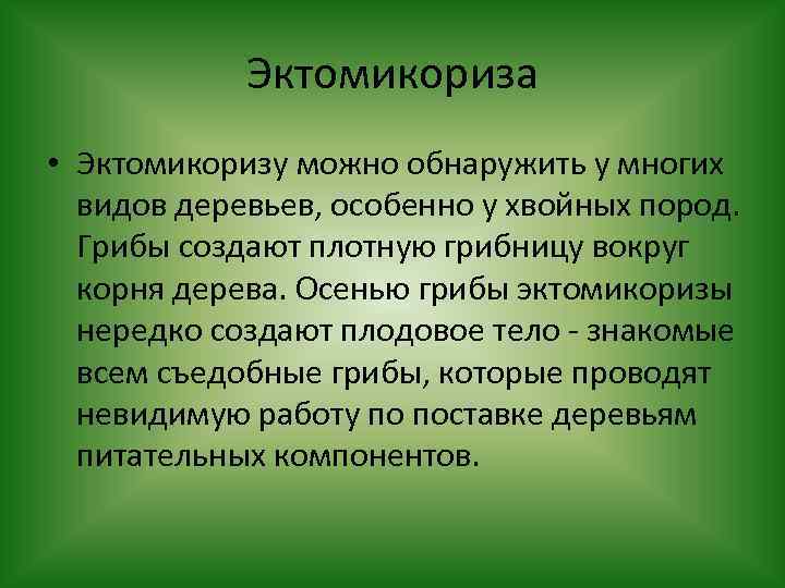 Эктомикориза • Эктомикоризу можно обнаружить у многих видов деревьев, особенно у хвойных пород. Грибы