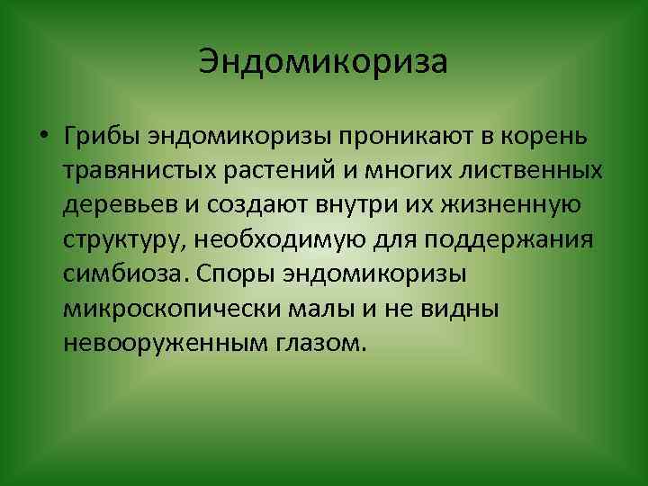 Эндомикориза • Грибы эндомикоризы проникают в корень травянистых растений и многих лиственных деревьев и