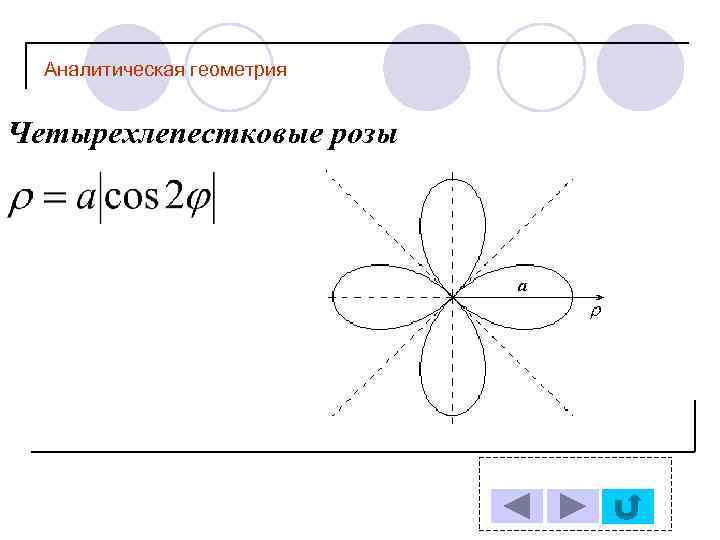 Аналитическая геометрия Четырехлепестковые розы 