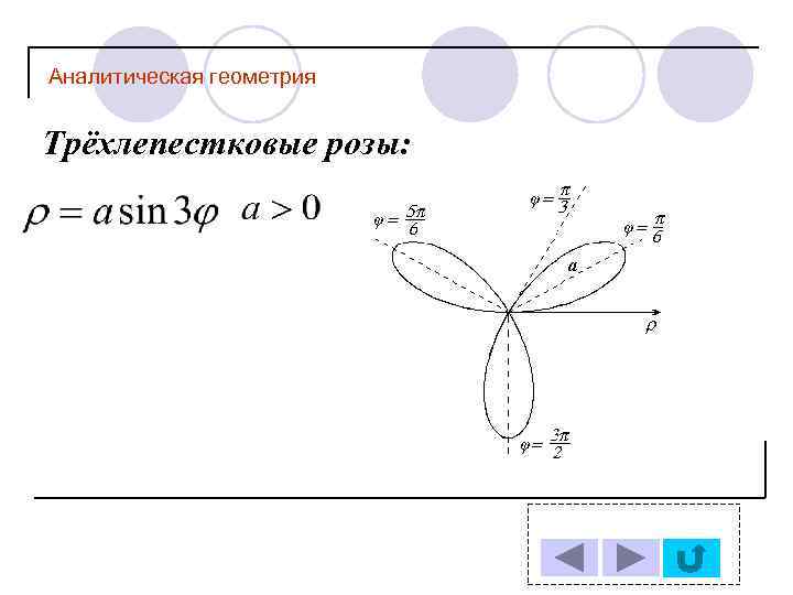 Аналитическая геометрия Трёхлепестковые розы: 