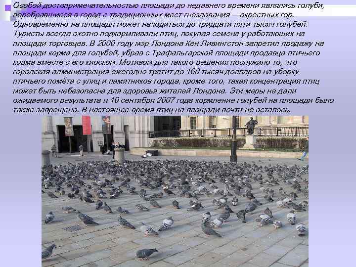 Особой достопримечательностью площади до недавнего времени являлись голуби, перебравшиеся в город с традиционных мест