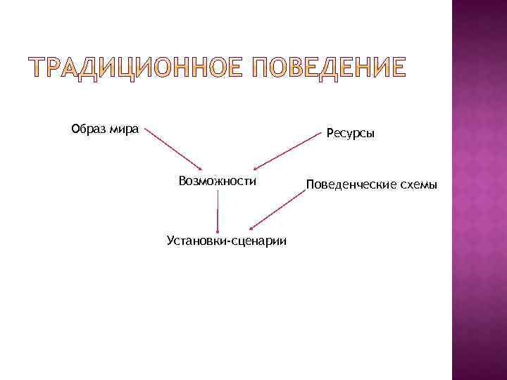 Образ мира Ресурсы Возможности Установки-сценарии Поведенческие схемы 