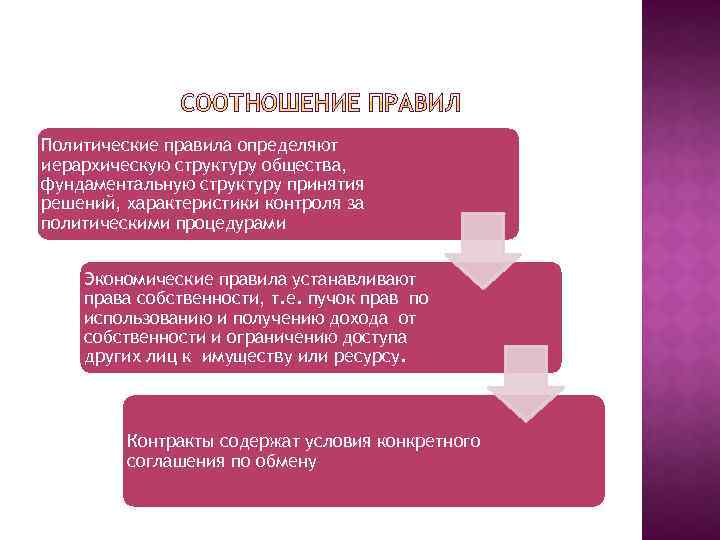 Политические правила определяют иерархическую структуру общества, фундаментальную структуру принятия решений, характеристики контроля за политическими