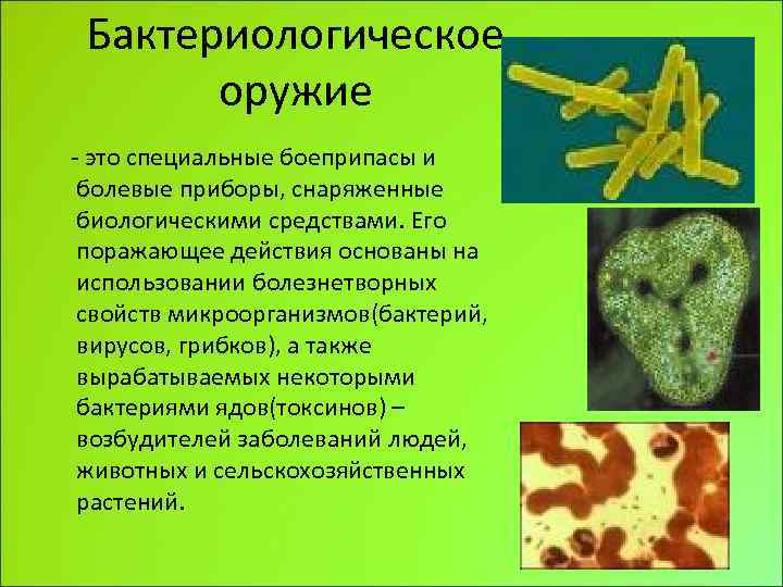 Бактериологические средства поражения. Биологическое оружие бактерии. Бактериологическое оружие бактерии вирусы. Бактериальное (биологическое) оружие. Бактериологические оркжение ЭТЛ.