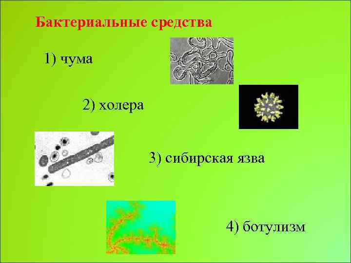 Бактериальные средства 1) чума 2) холера 3) сибирская язва 4) ботулизм 