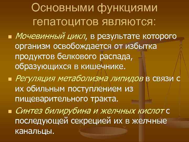 Основными функциями гепатоцитов являются: n n n Мочевинный цикл, в результате которого организм освобождается