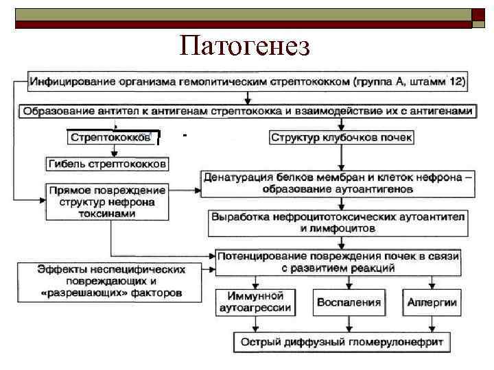 Патогенез 