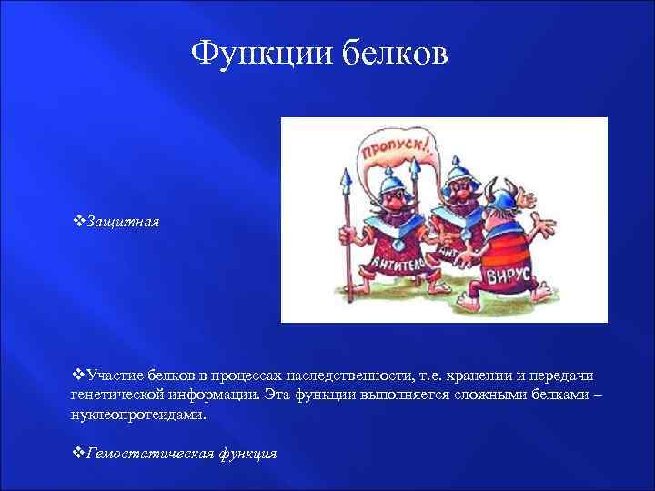  Функции белков v. Защитная v. Участие белков в процессах наследственности, т. е. хранении