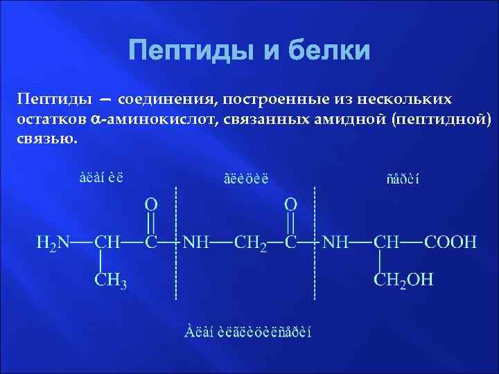 Пептиды и белки Пептиды — соединения, построенные из нескольких остатков -аминокислот, связанных амидной (пептидной)